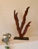 Ancient Tree II - Small Wood Sculpture | Sculptures by Lutz Hornischer - Sculptures in Wood & Plaster. Item composed of wood in contemporary or country & farmhouse style