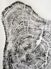 Grand Canyon - 36x36 inches | Prints by Erik Linton | Seattle in Seattle. Item made of paper