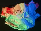 “Constitution 1” Photograph | Photography by David P. "Squid" Quinn. Item made of paper
