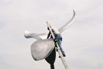 Large Stainless Steel Flower Sculpture | Public Sculptures by Jeroen Stok. Item made of steel