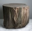Faux Bois Concrete Palm Stump Coffee table | Tables by Holmes Wilson Furniture. Item composed of cement