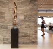 Life Energy | Sculptures by Dorit Schwartz | Private Residence - Ascaya Blvd in Henderson. Item composed of wood and steel