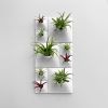 Modern White Ceramic Wall Planter Set - Living Wall Art | Plants & Landscape by Pandemic Design Studio. Item composed of ceramic in minimalism or modern style