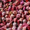 Candy Blossom (2026) Original Acrylic Painting | Oil And Acrylic Painting in Paintings by DaggArt