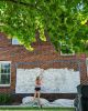 Columbia, we're in this together! | Street Murals by Christine Crawford | Christine Creates | Home Advantage Realty, LLC in Columbia