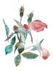 Rose Study No. 76 : Original Watercolor Painting | Paintings by Elizabeth Beckerlily bouquet. Item composed of paper in boho or minimalism style