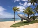 Breaching Whale | Public Sculptures by Mike Van Dam Art | Hayman Island in Whitsundays. Item composed of steel