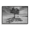 SHADOW & ROOT | B&W | Nature & Landscapes | Wall Art | Photography by Jess Ansik. Item made of paper works with minimalism & rustic style