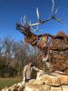 Elk Return | Public Sculptures by Wendy Klemperer Art Inc | St. Louis University Henry Lay Sculpture Park in Louisiana. Item made of steel