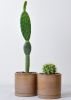 Stoneware Totem Planter | Vases & Vessels by Stone + Sparrow Studio. Item made of stoneware
