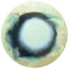 Blue Moon | Oil And Acrylic Painting in Paintings by Karen Fitzgerald / FitzgeraldArt | NRG Energy, Inc. in Princeton. Item composed of wood and synthetic