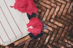 Rayas Table Cloth | Fabric in Linens & Bedding by Woloch Company. Item composed of cotton