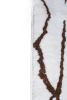 Contemporary Beni Ourain Moroccan Rug | Area Rug in Rugs by Kechmara Designs. Item made of fabric with fiber