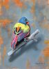 Painted Bunting 1.0 | Oil And Acrylic Painting in Paintings by Catherine Twomey | DOG & PONY SHOW in Asheville. Item composed of canvas in contemporary or traditional style