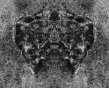 “Floral heraldry” | Photography by Carol Paquet. Item made of paper