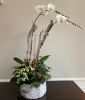 Holiday arrangement | Floral Arrangements by Fleurina Designs