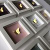 Love Boxes – White Frame | Decorative Frame in Decorative Objects by Lorna Doyan