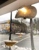 Nymphaea Installation | Pendants by Claudine Gevry Studio | Zebraclub Vancouver in Vancouver. Item made of metal