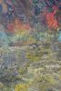 Circles On Field | Oil And Acrylic Painting in Paintings by Barry Namm Art. Item composed of wood and synthetic