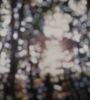 "To Dream Again" | Oil And Acrylic Painting in Paintings by Laura Wood. Item composed of canvas