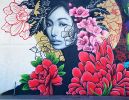 DoMo Walls - Downtown Modesto, California | Street Murals by Shane Grammer Arts