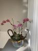 Vibrant orchid arrangement | Floral Arrangements by Fleurina Designs | LUNA Mexican Kitchen - The Alameda in San Jose