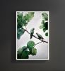 Comfort Me Conures | Photography by Alice Zilberberg. Item composed of paper