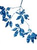 Spring Madrone III (30 x 22" cyanotype painting on paper) | Watercolor Painting in Paintings by Christine So. Item made of paper works with boho & country & farmhouse style