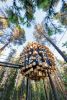 Studio Stirling Bubble in Bjarke Ingels Group Project in Swe | Swing Chair in Chairs by Studio Stirling | Tree Hotel in Harads. Item composed of steel compatible with minimalism and country & farmhouse style