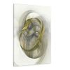 Evolution 30164 | Prints by Rica Belna. Item composed of canvas