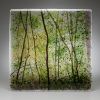 “Among Trees” Exhibit Installation Views | Oil And Acrylic Painting in Paintings by Angelita Surmon | Waterstone Gallery in Portland. Item made of canvas with synthetic