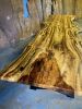 Myrtle Live Edge Dining Table | Tables by Live Edge Lust. Item composed of wood & metal