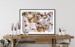BLUSH (18"x12" — 72"x48") | Surreal Gardens | Wall Art | Digital Art in Art & Wall Decor by Jess Ansik. Item composed of aluminum & paper compatible with boho and contemporary style