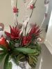 Tropical love arrangement | Floral Arrangements by Fleurina Designs | Almaden Golf & Country Club in San Jose