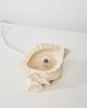 Conch Accent Light | Table Lamp in Lamps by East Clay Ceramics. Item made of stoneware