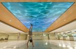 'Migration' Illuminated Ceiling Public Artwork | Glasswork in Wall Treatments by Marcia Stuermer. Item made of glass & synthetic