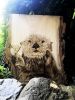 an-otter martini please, 18 x 24 | Wall Sculpture in Wall Hangings by Bisa Lisa Studio. Item composed of maple wood