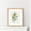 Bay Leaf Serenity: Botanical Watercolor Art Print - Herb | Prints by Jennifer Lorton Art. Item composed of paper compatible with country & farmhouse and japandi style