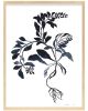 Fynbos II | Prints by Ruth Le Roux | Private Residence, Piedmont in Piedmont. Item made of paper