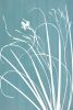 Silver Iris: 33 x 22 in. original gray cyanotype | Photography by Christine So. Item made of paper compatible with boho and japandi style