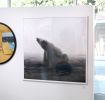 Bear with It | Photography by Alice Zilberberg | ZK Gallery in San Francisco. Item composed of paper
