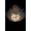 KA1837 BUBBLE CHANDELIER | Chandeliers by alanmizrahilighting | New York in New York. Item composed of brass and glass
