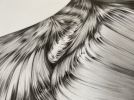 Flow | Drawings by Russ Snedker. Item composed of paper