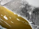 Manta Ray | Oil And Acrylic Painting in Paintings by Russ Snedker. Item made of canvas