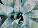 California Succulent Plant | Oil And Acrylic Painting in Paintings by Irena Orlov. Item composed of canvas and synthetic