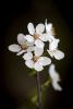 Spring Simplicity | Photography by Vanessa Thomas. Item made of paper