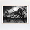 Joshua Tree No. 5 (Ltd Edition) | Photography by Daylight Dreams Editions. Item made of paper works with boho & contemporary style