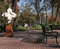 Star Unfolding | Public Sculptures by KevinBoxStudio | Progress Park in Paramount