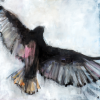 Por Vida (Red-tailed Hawk) | Prints by Lee Cline. Item made of paper