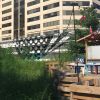 Tyson Luxury Lilies Mural | Street Murals by Michael Pacheco | Tysons Biergarten in Tysons. Item composed of synthetic